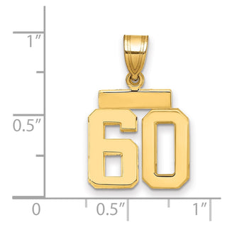14k Yellow Gold Small Polished Number 60 Charm SP60