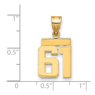 14k Yellow Gold Small Polished Number 61 Charm SP61