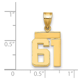 14k Yellow Gold Small Polished Number 61 Charm SP61