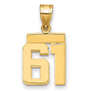 14k Yellow Gold Small Polished Number 61 Charm SP61