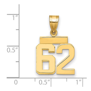 14k Yellow Gold Small Polished Number 62 Charm SP62