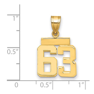 14k Yellow Gold Small Polished Number 63 Charm SP63