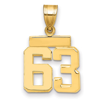 14k Yellow Gold Small Polished Number 63 Charm SP63
