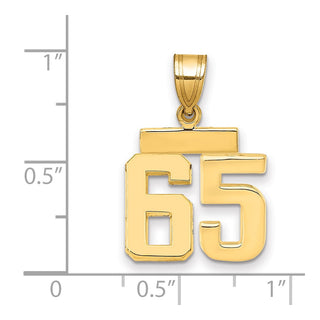 14k Yellow Gold Small Polished Number 65 Charm SP65