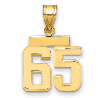 14k Yellow Gold Small Polished Number 65 Charm SP65