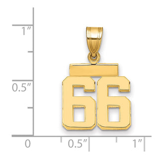 14k Yellow Gold Small Polished Number 66 Charm SP66