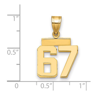 14k Yellow Gold Small Polished Number 67 Charm SP67
