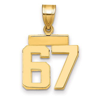 14k Yellow Gold Small Polished Number 67 Charm SP67