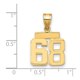 14k Yellow Gold Small Polished Number 68 Charm SP68