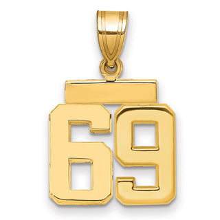14k Yellow Gold Small Polished Number 69 Charm SP69