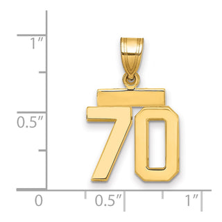 14k Yellow Gold Small Polished Number 70 Charm SP70