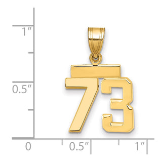 14k Yellow Gold Small Polished Number 73 Charm SP73
