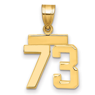 14k Yellow Gold Small Polished Number 73 Charm SP73