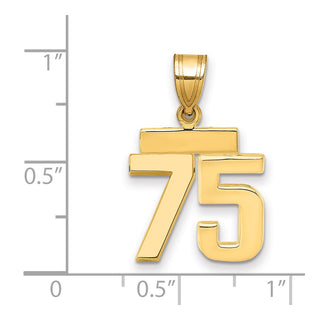 14k Yellow Gold Small Polished Number 75 Charm SP75