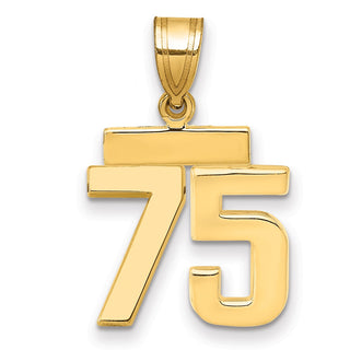 14k Yellow Gold Small Polished Number 75 Charm SP75