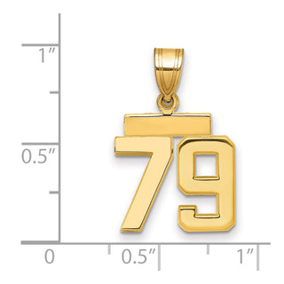 14k Yellow Gold Small Polished Number 79 Charm SP79