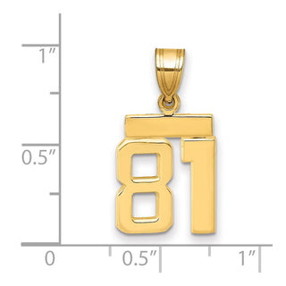14k Yellow Gold Small Polished Number 81 Charm SP81
