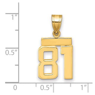 14k Yellow Gold Small Polished Number 81 Charm SP81