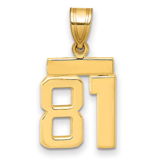 14k Yellow Gold Small Polished Number 81 Charm SP81