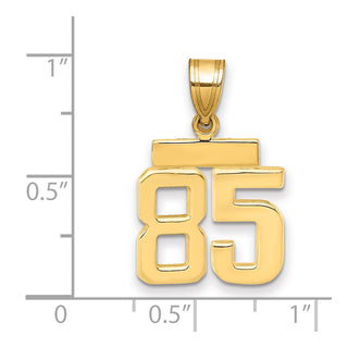 14k Yellow Gold Small Polished Number 85 Charm SP85