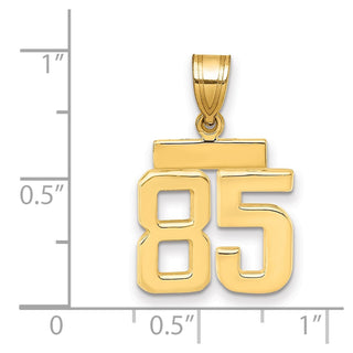 14k Yellow Gold Small Polished Number 85 Charm SP85