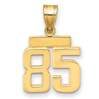14k Yellow Gold Small Polished Number 85 Charm SP85