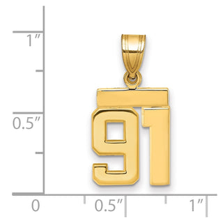 14k Yellow Gold Small Polished Number 91 Charm SP91