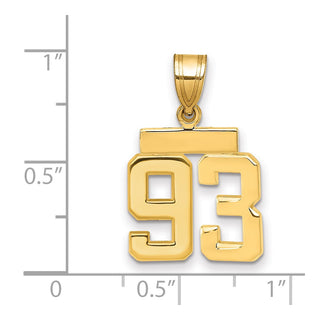 14k Yellow Gold Small Polished Number 93 Charm SP93