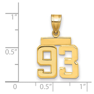 14k Yellow Gold Small Polished Number 93 Charm SP93