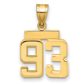 14k Yellow Gold Small Polished Number 93 Charm SP93