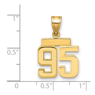 14k Yellow Gold Small Polished Number 95 Charm SP95
