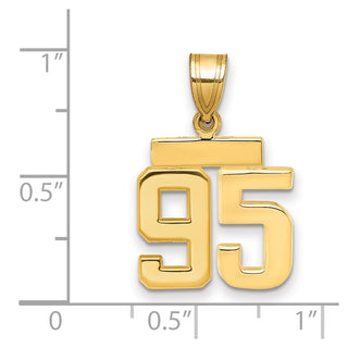 14k Yellow Gold Small Polished Number 95 Charm SP95