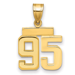 14k Yellow Gold Small Polished Number 95 Charm SP95