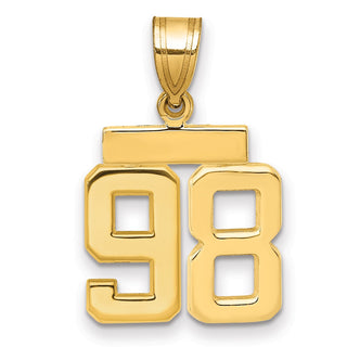 14k Yellow Gold Small Polished Number 98 Charm SP98