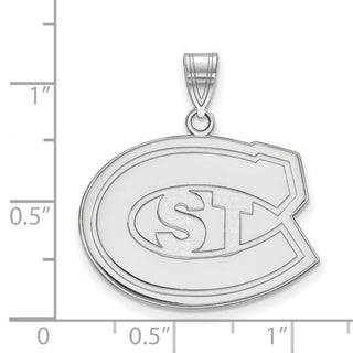 14k White Gold LogoArt St. Cloud State University Large Pendant