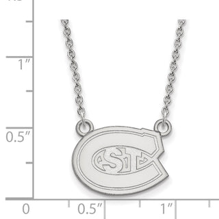14k White Gold LogoArt St. Cloud State University Small Pendant 18 inch Necklace