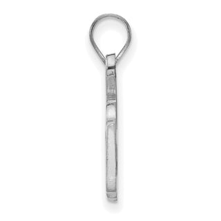 Sterling Silver Rhodium-plated LogoArt College of William and Mary Medium Enameled Pendant