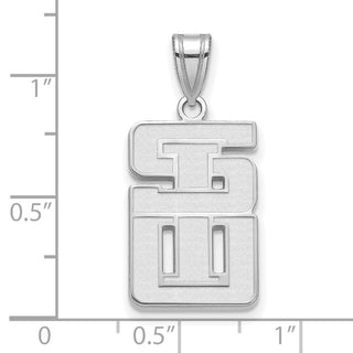 10k White Gold LogoArt Southern Illinois University Large Pendant