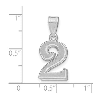 14k White Gold Polished Etched Number 2 Pendant