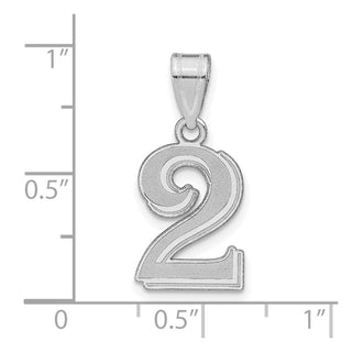 14k White Gold Polished Etched Number 2 Pendant