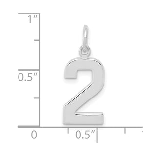 14k White Gold Medium Polished Number 2 Charm