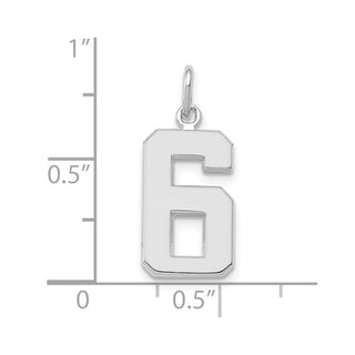 14k White Gold Medium Polished Number 6 Charm