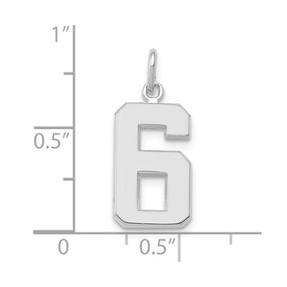14k White Gold Medium Polished Number 6 Charm