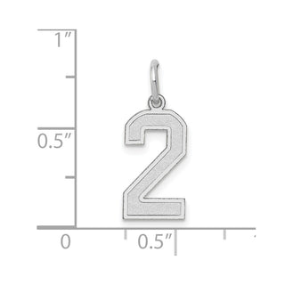 14K White Gold Medium Satin Number 2 Charm