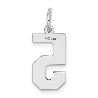 14K White Gold Medium Satin Number 5 Charm