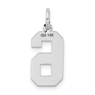 14K White Gold Medium Satin Number 6 Charm