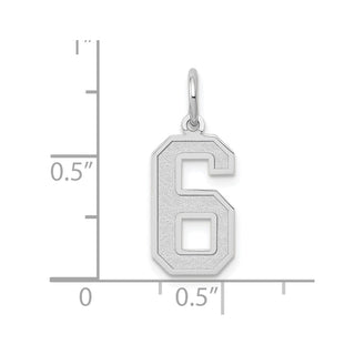 14K White Gold Medium Satin Number 6 Charm