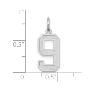 14K White Gold Medium Satin Number 9 Charm