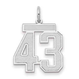 14k White Gold Medium Satin Number 43 Charm