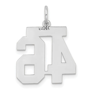 14k White Gold Medium Satin Number 46 Charm